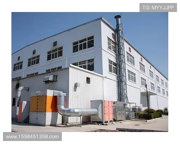 凯发体育集团官网网址查询指南，确保用户安全登录官方平台的实用技巧